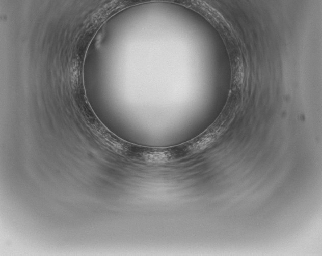 X0000060270513200511112050