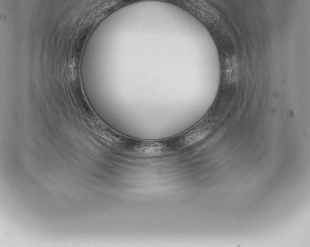 X0000060270514200511112050