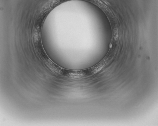 X0000060270515200511112050