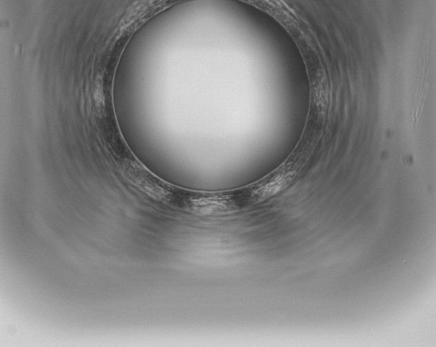 X0000060270516200511112050