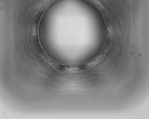 X0000060270517200511112050