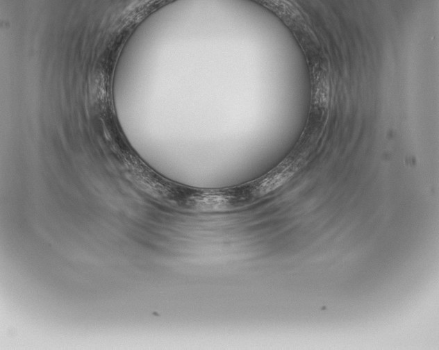 X0000060270518200511112050