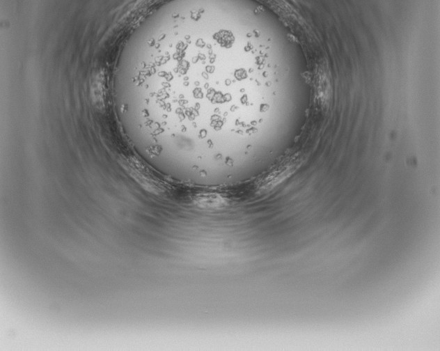 X0000060270519200511112050