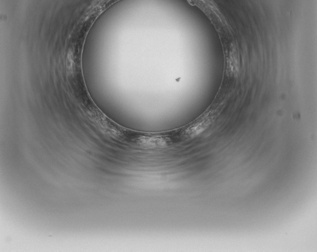 X0000060270520200511112050