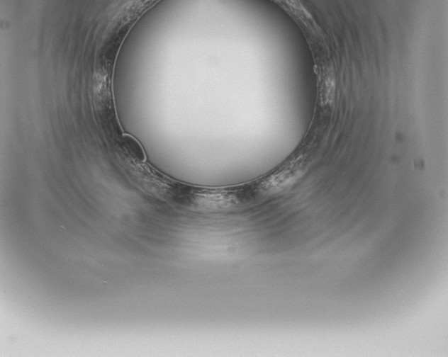 X0000060270521200511112050