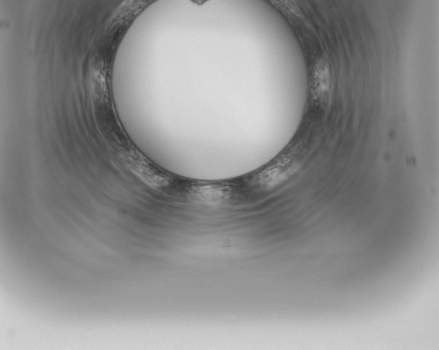 X0000060270522200511112050