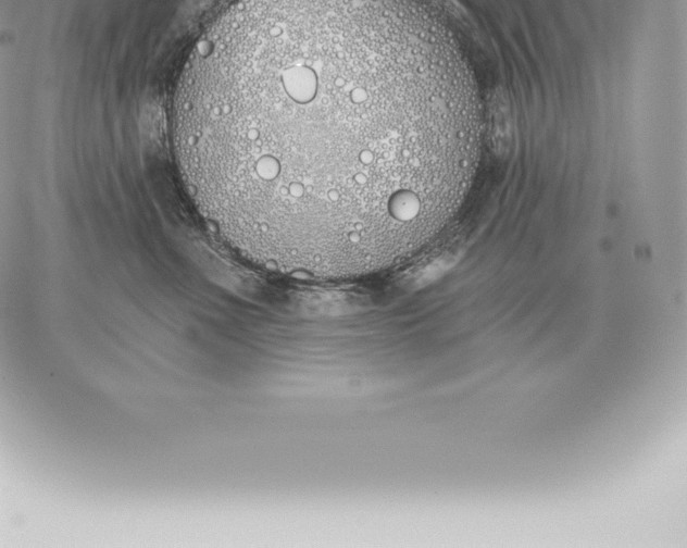 X0000060270523200511112050