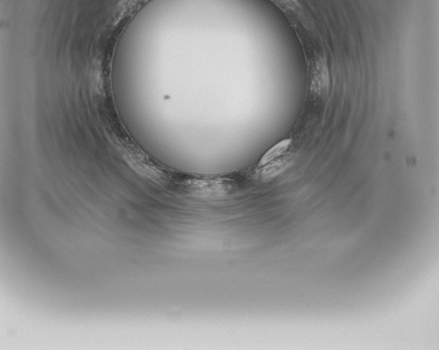 X0000060270524200511112050