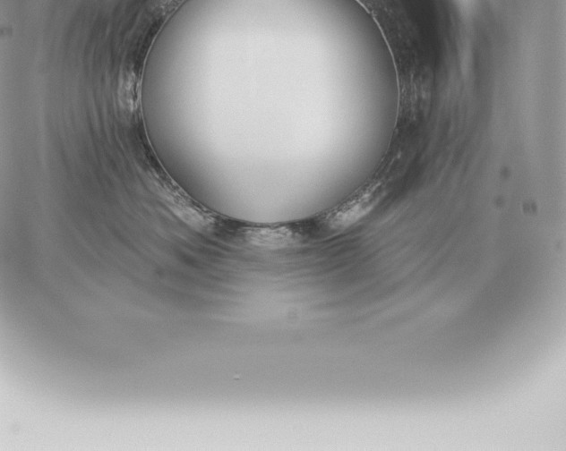 X0000060270525200511112050