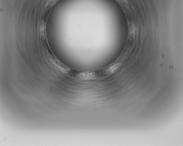 X0000060270526200511112050