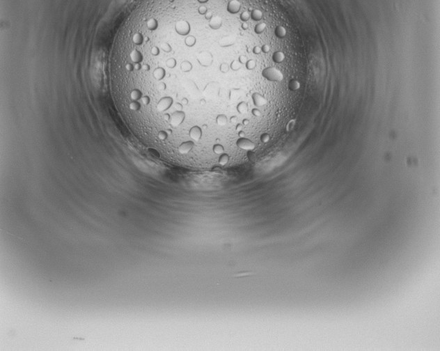 X0000060270527200511112050