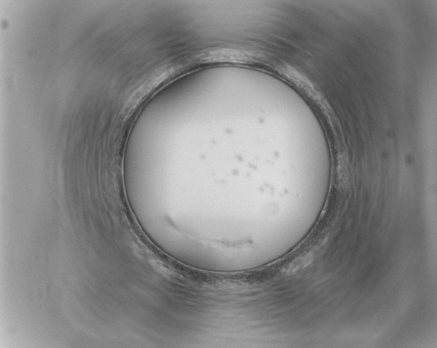 X0000060270529200511112049