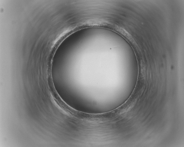 X0000060270530200511112049