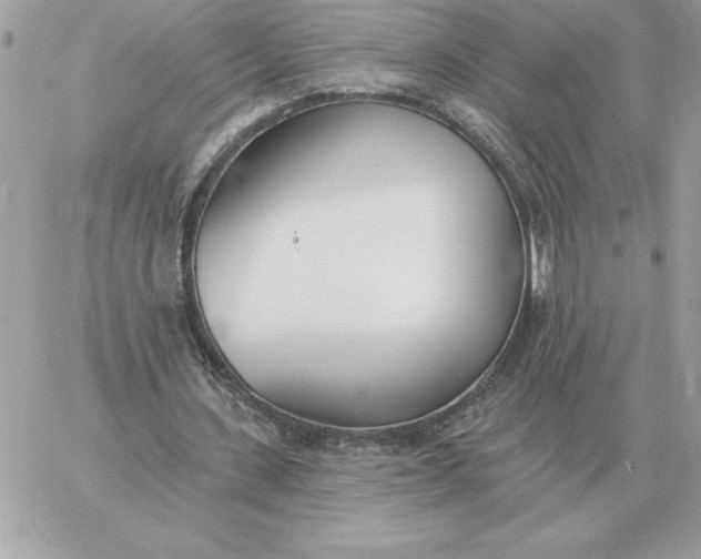 X0000060270531200511112049