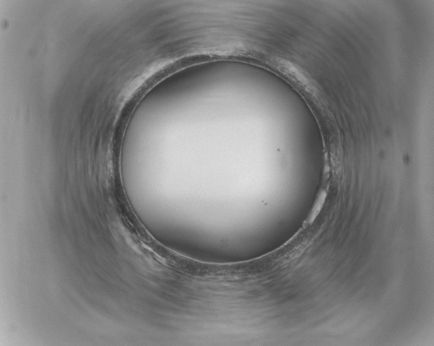 X0000060270532200511112049