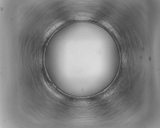 X0000060270533200511112049