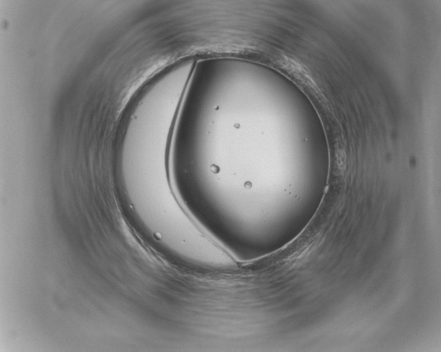 X0000060270534200511112049