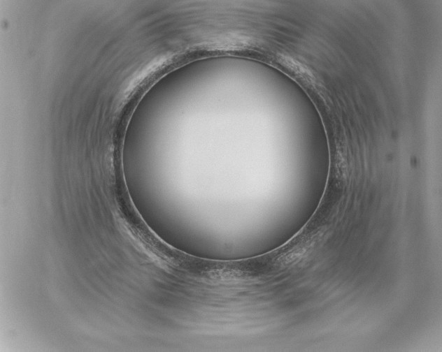 X0000060270535200511112049