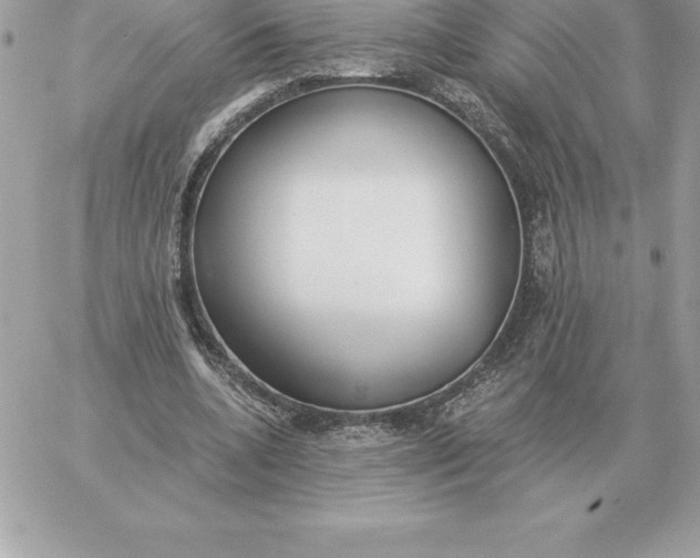 X0000060270536200511112049