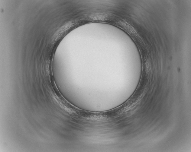 X0000060270537200511112049