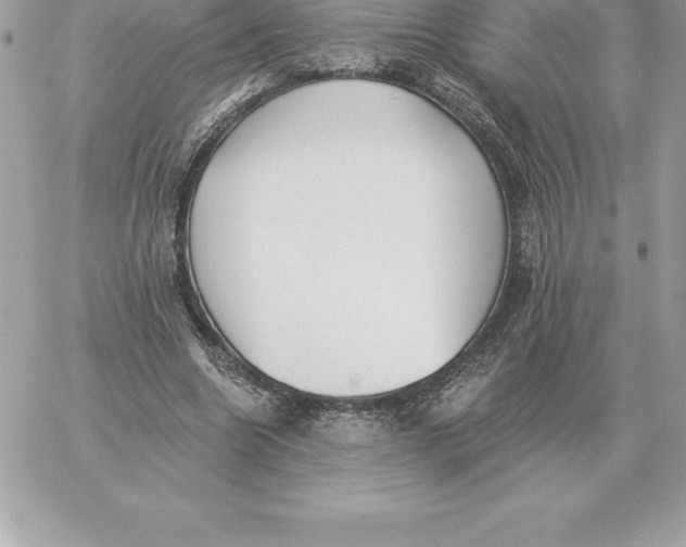 X0000060270538200511112049