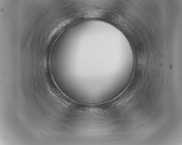 X0000060270539200511112049