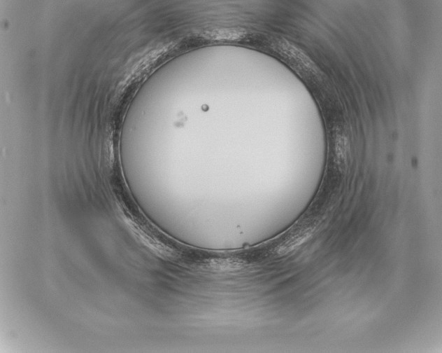 X0000060270541200511112049