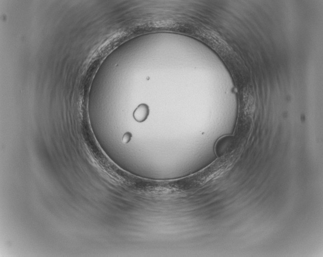 X0000060270542200511112049