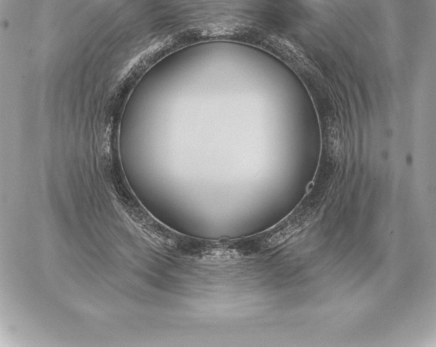 X0000060270543200511112049