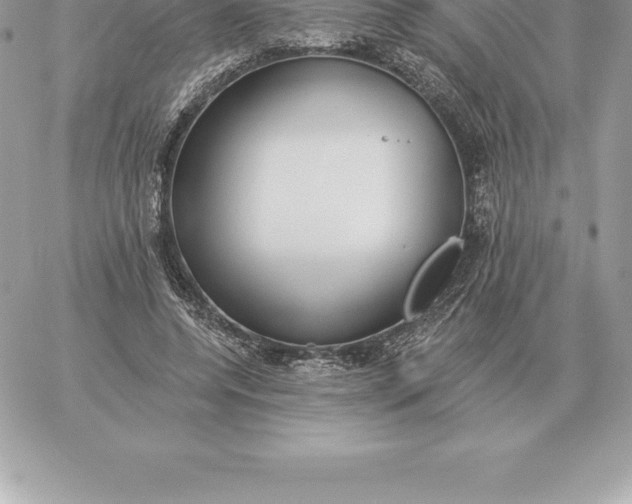 X0000060270544200511112049