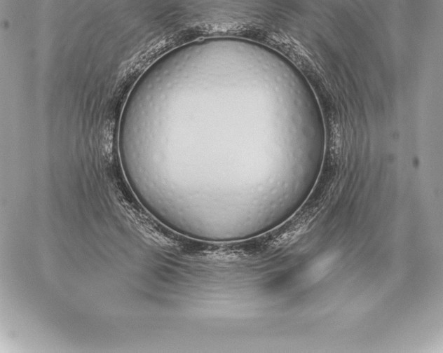 X0000060270545200511112049