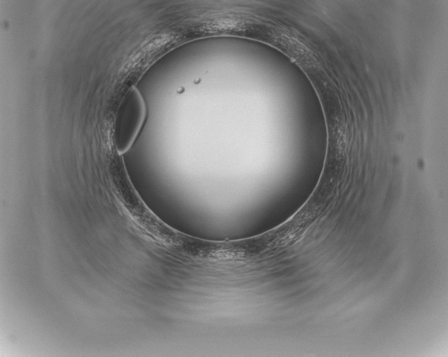 X0000060270546200511112049