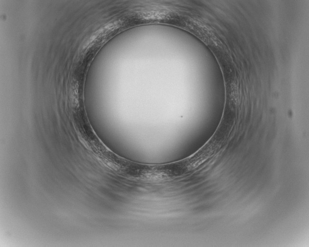 X0000060270547200511112049