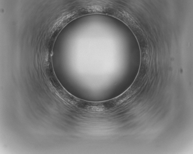 X0000060270548200511112050