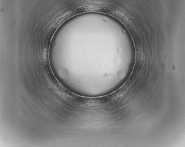 X0000060270549200511112050