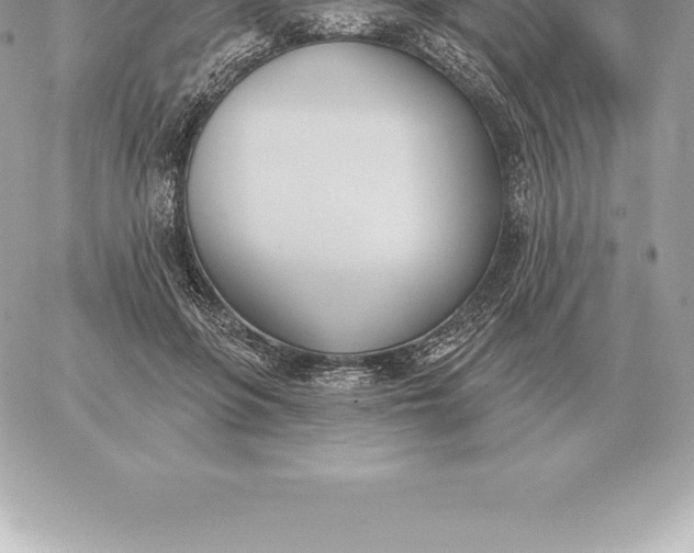 X0000060270551200511112050