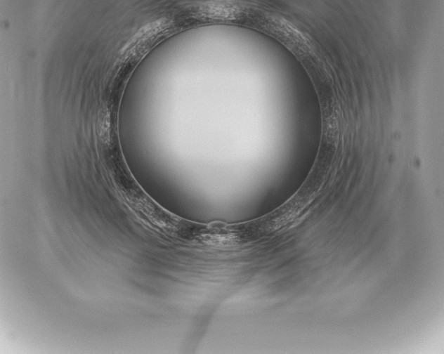 X0000060270552200511112050