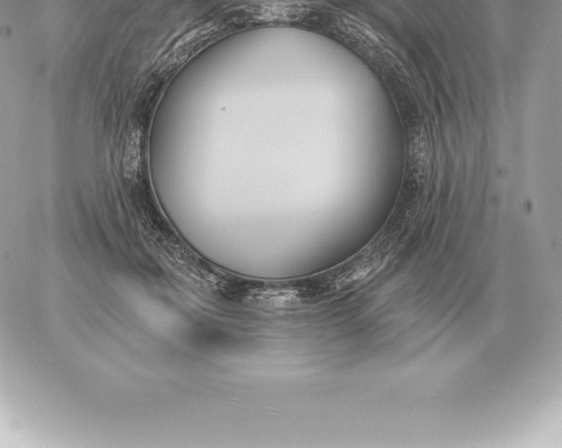 X0000060270554200511112050