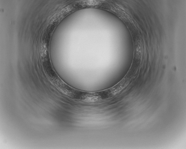 X0000060270555200511112050