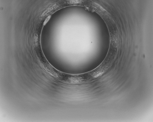 X0000060270556200511112050