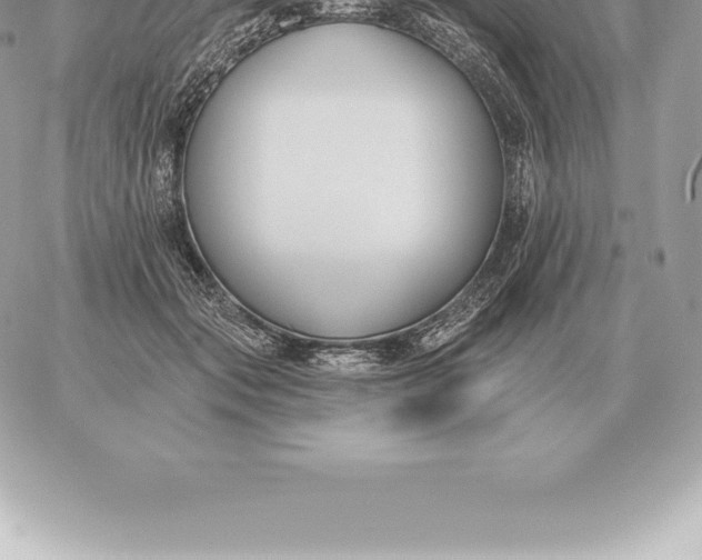 X0000060270557200511112050