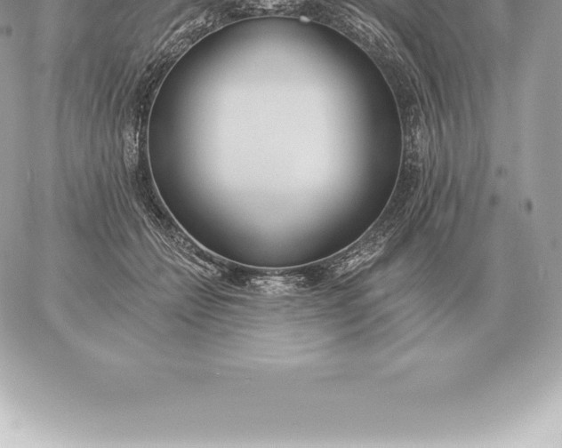 X0000060270558200511112050