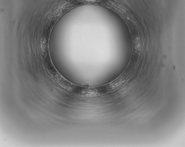 X0000060270559200511112050