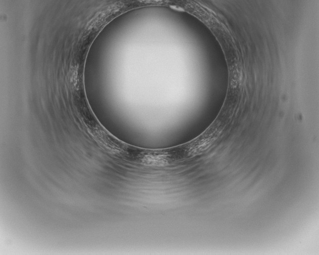 X0000060270560200511112050