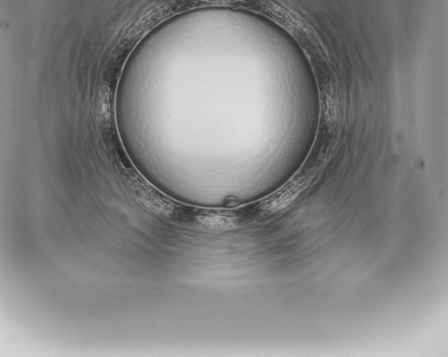 X0000060270561200511112050