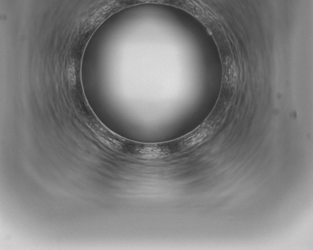 X0000060270562200511112050