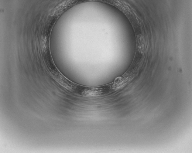 X0000060270563200511112050