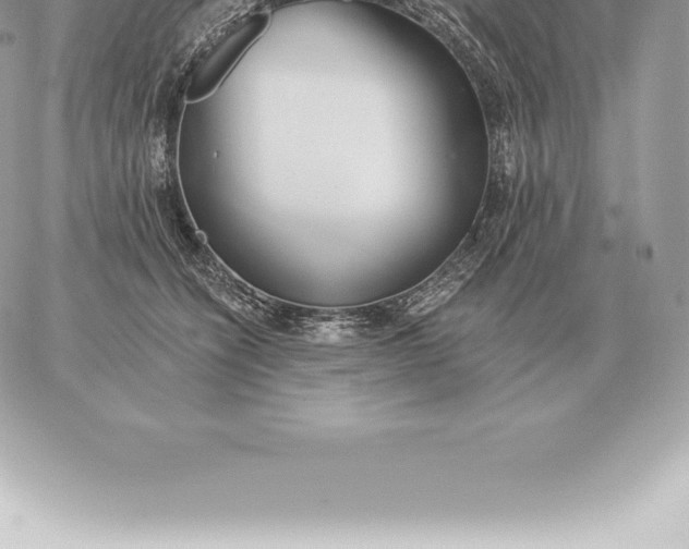 X0000060270564200511112050