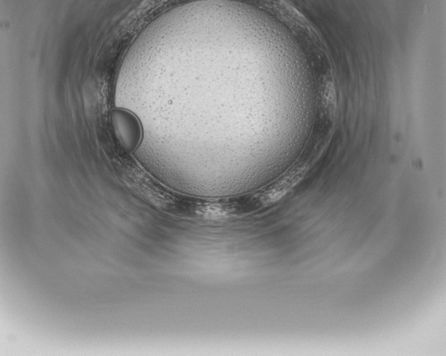 X0000060270565200511112050