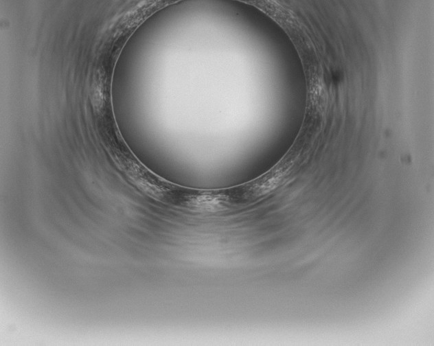 X0000060270566200511112050